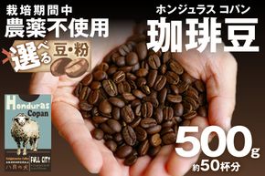 【栽培期間中農薬不使用】自家焙煎コーヒー豆 ホンジュラス　コパン 500g（250g×2） 約50杯分 小分け　豆・粉 選べる 飲料 珈琲 こーひー コーヒー coffee　HA00025