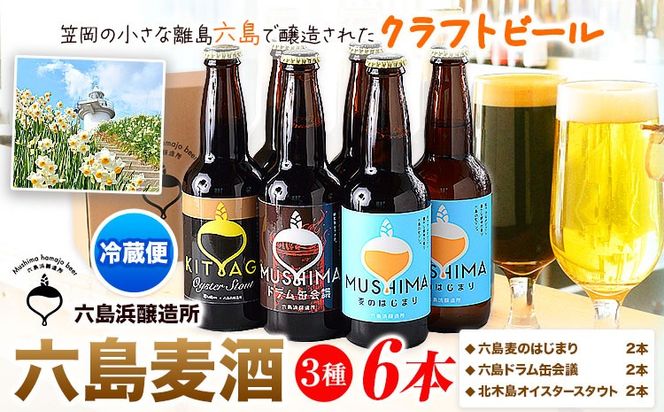 ビール 六島麦酒 3種6本セット 六島麦のはじまり2本 六島ドラム缶会議2本 北木島オイスタースタウト2本 六島浜醸造所《45日以内に出荷予定(土日祝除く)》岡山県 笠岡市 六島 麦酒 お酒 ビール クラフトビール アルコール 贈答 お土産---A-120b---