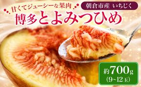 いちじく フルーツ とよみつひめ 約700g 2027年 発送 博多 加温 プレミアムいちじく 果物 くだもの デザート 筑前あさくら農協 配送不可 離島 