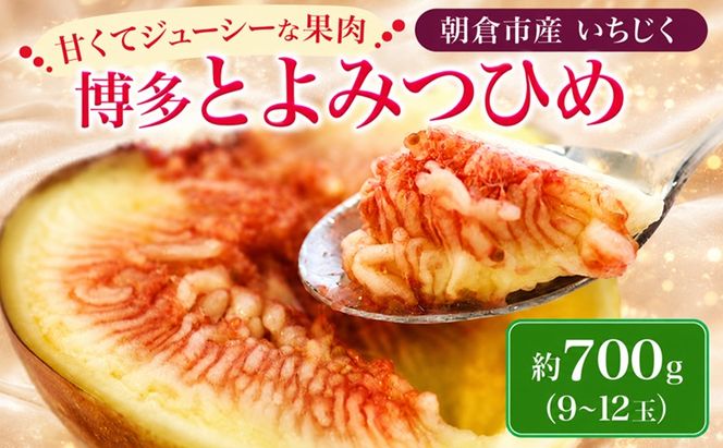 いちじく フルーツ とよみつひめ 約700g 2027年 発送 博多 加温 プレミアムいちじく 果物 くだもの デザート 筑前あさくら農協 配送不可 離島 