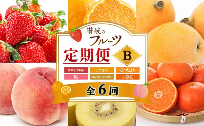 讃岐のフルーツ6回定期便【B】【さぬきひめ苺】【デコポン】【なつたより(びわ)】【桃】【さぬきゴールドキウイ】【小原紅(さぬき紅みかん)】
