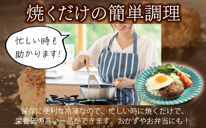 099H3402 桜文 馬肉ハンバーグ 総量2.4kg（120g×20個） 個包装