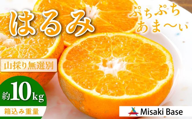 yQɕzystzyʌzyR̂薳Iʁz͂ 10kg ւ̔zsi2026N2菇j IKTAB012