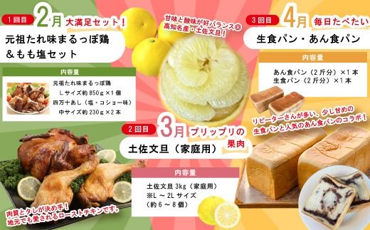 【 年末限定 】 8回 定期便 四万十 人気グルメ お楽しみ定期便 しまんと ふるさと定期便 10万円 Aコース 今だけ 鰻 牛肉 鶏肉 豚肉 パン 魚 タタキ 鰹 カツオ 文旦 柑橘 フルーツ ケーキ ごちそう 贅沢 豪華 高知 四万十市 25-614