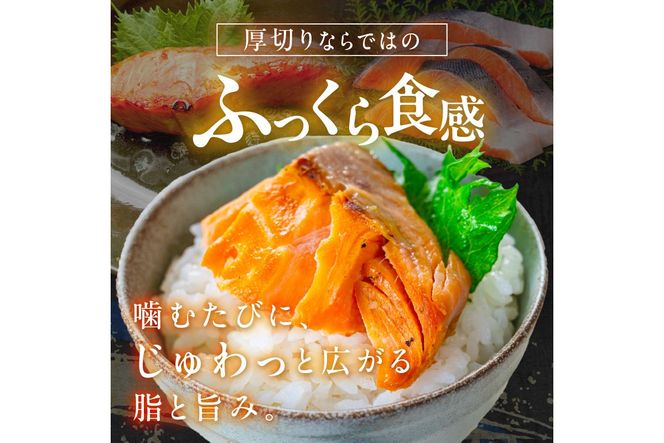 お手軽！絶品！厚切り　塩銀鮭切身 約1kg（プロトン凍結　訳あり　不揃い）　YK00236