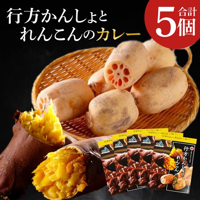 ～GI登録「さつまいも」使用～行方かんしょとれんこんのカレー(200g×5個)｜カレー レトルト レトルトカレー ご当地 ご当地カレー 人気 オススメ 便利 特産品 地元特産品 茨城県 行方市(AE-143)