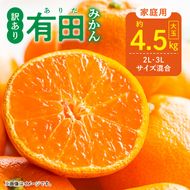 DZ6218_【2026年先行予約】ご家庭用 有田みかん 和歌山 大玉(2L,3Lサイズ混合) 約4.5kg