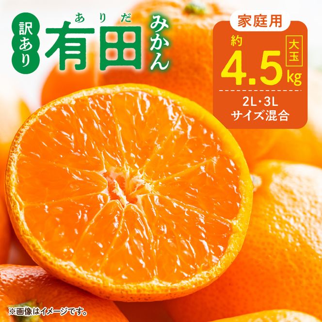 DZ6218_【2026年先行予約】ご家庭用 有田みかん 和歌山 大玉(2L,3Lサイズ混合) 約4.5kg