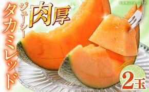 【2026年5月〜発送】タカミメロン レッド 2玉 / メロン めろん フルーツ 果物 / 南島原市 / 南島原果物屋[SCV030]