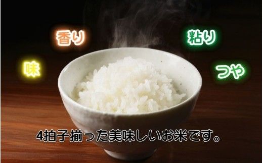令和8年産 伊賀米コシヒカリ 8kg（3kg＋5kg）【jaig0001A】