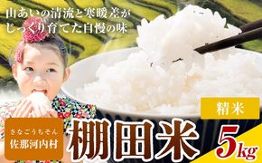 【先行予約】【CF】清流と寒暖差が生む村自慢の「棚田米」精米 5kg《2026年11月以降順次出荷》徳島県 佐那河内村 棚田米 米 白米 ---sanagouchi_lcl_136_5kg---