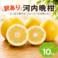 【先行予約】 訳あり 河内晩柑 10kg <発送期間：2027年4月上旬～無くなり次第終了> 八百みかん農園 の かわちばんかん 10000円 家庭用 先行 事前 予約 受付 みかん 愛南ゴールド 美生柑 文旦 グレープフルーツ 和製 防腐剤不使用 愛媛 産地直送 国産 農家直送 糖度 果樹園 期間限定 数量限定 特産品 ジュース 人気 限定 愛南  新鮮 さわやか 甘い フルーツ 果物 柑橘 蜜柑