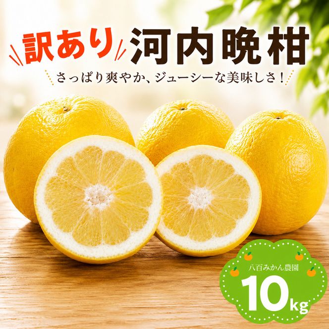 【先行予約】 訳あり 河内晩柑 10kg <発送期間：2027年4月上旬～無くなり次第終了> 八百みかん農園 の かわちばんかん 10000円 家庭用 先行 事前 予約 受付 みかん 愛南ゴールド 美生柑 文旦 グレープフルーツ 和製 防腐剤不使用 愛媛 産地直送 国産 農家直送 糖度 果樹園 期間限定 数量限定 特産品 ジュース 人気 限定 愛南  新鮮 さわやか 甘い フルーツ 果物 柑橘 蜜柑