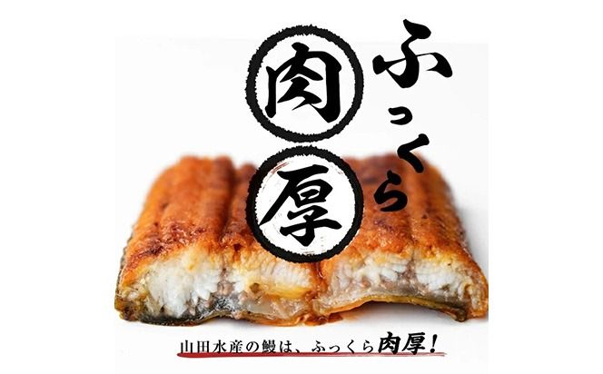 【お礼の品人気No1】霧島湧水鰻の蒲焼き 140g以上×5尾＜計700g以上＞ b2-048