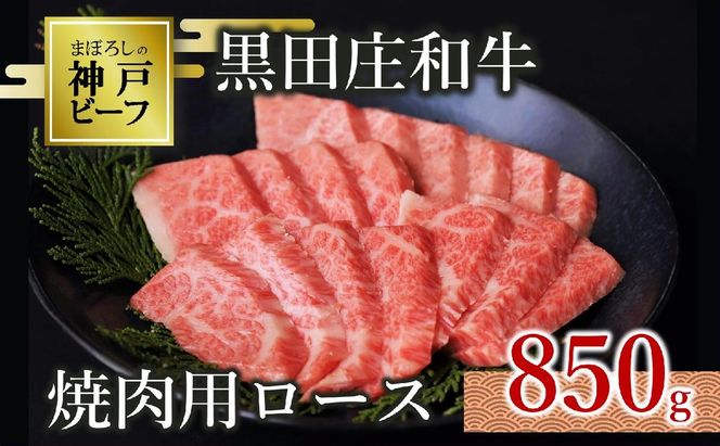【最短7営業日発送】【神戸ビーフ素牛】特選 黒田庄和牛（焼肉用ロース、850g）(tokusan-25) 肉 お肉 牛肉 焼肉 焼き肉 赤身 モモ肉 BBQ 便利 神戸ビーフ 神戸牛 黒田庄和牛 高級黒毛和牛
