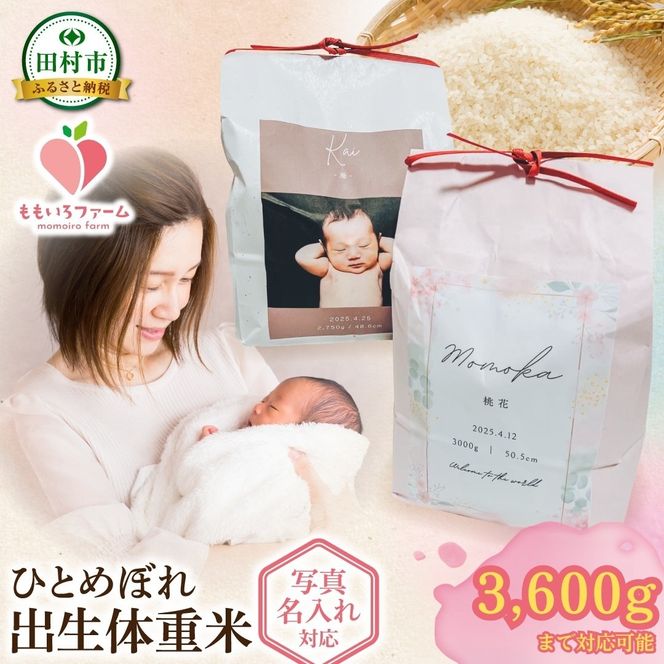 【令和7年産】＼御祝用ギフト米 ／ひとめぼれ1kg・3kg 出生体重米 お米 一等米 白米 こめ 内祝い 贈り物 のしプレゼント お中元 お歳暮 贈答 米 コメ ご飯 単一米 精米 生活応援 福島県 田村市 ももいろファーム