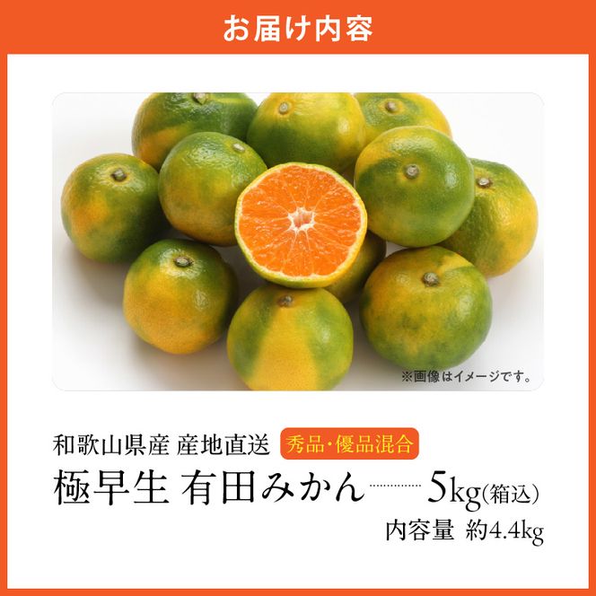 MK1072_【2026年先行予約】みかん 極早生 箱込 5kg ( 内容量4.4kg ) おまかせサイズ（S/M/L）秀品・優品 の混合 有田みかん 和歌山県産