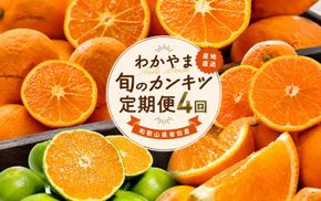 【全4回】和歌山旬のカンキツ定期便【S】3・5・9・11月発送（ご家庭用）※北海道・沖縄県・離島への配送不可 / 春の柑橘 初夏の柑橘 青切り 有田みかん 完熟有田みかん フルーツ くだもの 果物【ard-tkb905】