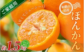 【ご家庭用】手選別 ぽんかん 約1.5kg 和歌山県産 2S~2Lサイズ混合※2026年1月上旬～2月上旬頃に順次発送【mrmt011】
