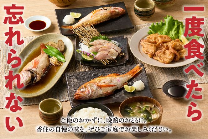 【訳あり のどぐろ 香住産 生冷凍 調理済 少し小さめ（1匹80～100g前後）内容量：5匹～8匹 約600g～700g 冷凍 兵庫県香住産】ご入金確認後、順次発送予定 サイズ不揃い 少し小さめ 日本海で水揚げ 鮮度抜群、脂乗りの良いノドグロを急速冷凍 細胞を壊さず、食品の美味しさをキープ 白身のトロ 産地直送 兵庫県 香美町 香住 柴山 山陰 大人気 ふるさと納税 送料無料 宿院商店 33-14