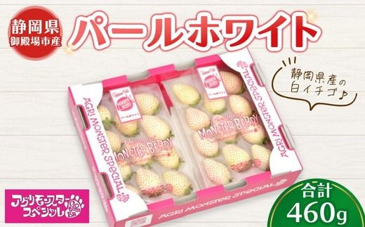 甘い白イチゴ パールホワイト 230g×トレー2枚 計460g | いちご 苺 果物 静岡県 ※2026年1月上旬〜4月中旬頃に順次発送予定 ※北海道・沖縄・離島への配送不可