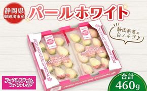甘い白イチゴ パールホワイト 230g×トレー2枚 計460g ｜ いちご 苺 果物 静岡県 ※2026年1月上旬～4月中旬頃に順次発送予定 ※北海道・沖縄・離島への配送不可