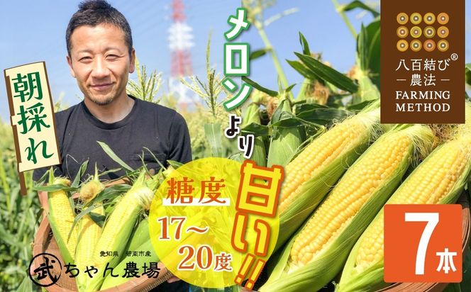 【2025年発送】【お試し】朝採り直送 メロンより甘い 生とうもろこし“にっこりコーン” 7本 H095-027