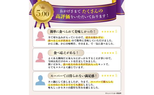 訳あり 冷凍 ボイル ずわいがに 爪 600gズワイガニ 【 本ズワイガニ 不揃い 規格外 カニクリームコロッケ 蟹爪 ボイル済み むきやすい 定期便 3回 お届け 不揃い ギフト 2026】