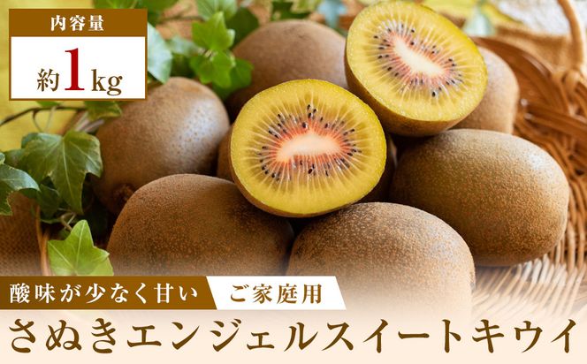 ご家庭用さぬきエンジェルスイートキウイ 約1kg 372013_T006-815J