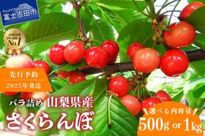 【2025年発送】【数量限定】【期間限定】山梨県産 紅秀峰 さくらんぼ 【選べる容量】 500g / 1kg バラ詰め 　フルーツ 山梨県産 数量限定 期間限定 さくらんぼ 果物 産地直送 山梨 富士吉田 フルーツ 富士吉田市