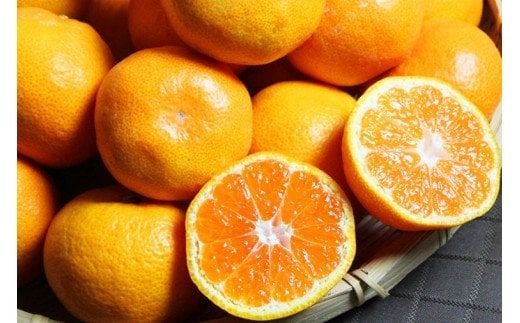 【先行予約受付】高級ブランド田村みかん　10kg　大玉サイズ ※2026年11月下旬～2027年1月下旬頃に順次発送予定(お届け日指定不可)みかん 柑橘類 【uot716】