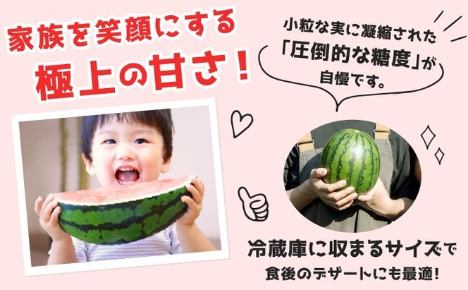 ＜先行予約＞北海道伊達産 小玉スイカ "ピノ・ガール" 【tom-001】