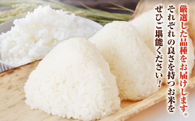 令和7年産 青空市きらりの 選べる内容量 5kg 10kg 岡山県産 (品種はお選びいただけません) 青空市きらり《30日以内に発送予定(土日祝除く)》岡山県 矢掛町 白米 精米 米 コメ---osy_akak_30d_25_17000_5kg---