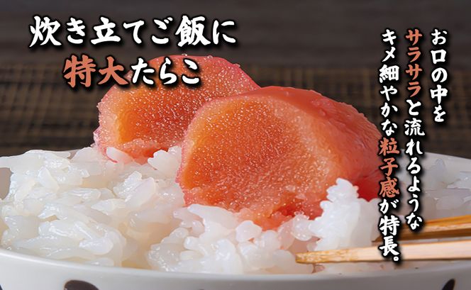 【丸鮮道場水産 】 北海道産 たらこ太物特大 750g たらこ タラコ 低塩 国産 前浜