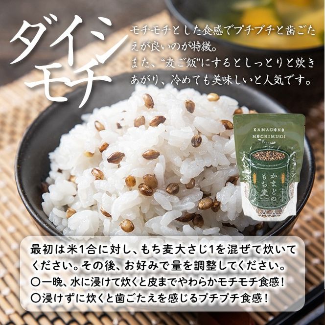 isa256 《訳あり・数量限定》鹿児島県伊佐市産もち麦！＜ダイシモチ＞(計1.8kg・300g×6袋) 【社会福祉法人ひまわり福祉会】