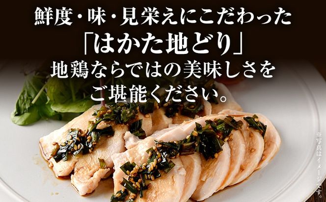 【ふるさと納税】はかた地どり むね肉 1kg 200g×5パック 小分け 福岡県産 地鶏 鶏肉 冷凍 地どり 国産 鶏むね肉 ムネ肉 とり肉 チキン サラダチキン 唐揚げ 水炊き おうちごはん お取り寄せ グルメ ギフト