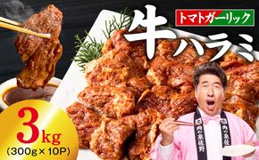 030D279-1 【新登場】トマトガーリック 牛ハラミ肉 3kg（300g×10P）【牛肉 はらみ 小分け 焼肉 お弁当 BBQ 訳あり ワケアリ わけあり サイズ不揃い 規格外 TVで話題】