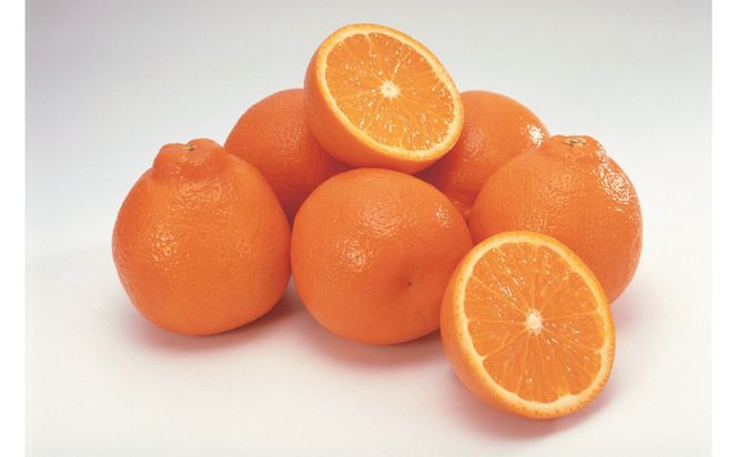 SANUKIFROZEN デコポン 100g×8袋 372013_KF023