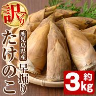 ＜先行予約受付中！2026年12月上旬以降順次発送予定＞訳あり！鹿児島県産 早掘りたけのこ(約3kg) 国産 野菜 たけのこ タケノコ 筍 旬 煮物 水煮 天ぷら つくだ煮【松永青果】akn053-34