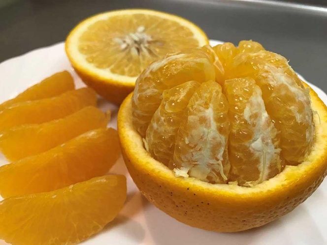 手詰め 有田 はっさく 大玉 2L サイズ × 4玉入 ちょっと 傷あり 小箱 南泰園 みかん BS712