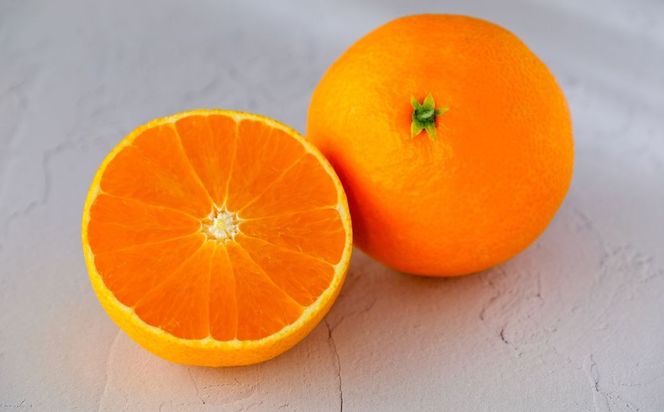 yQɕzys\zyʌzyDz__^QY48 2.5kgi2026N2{菇j IKTV012