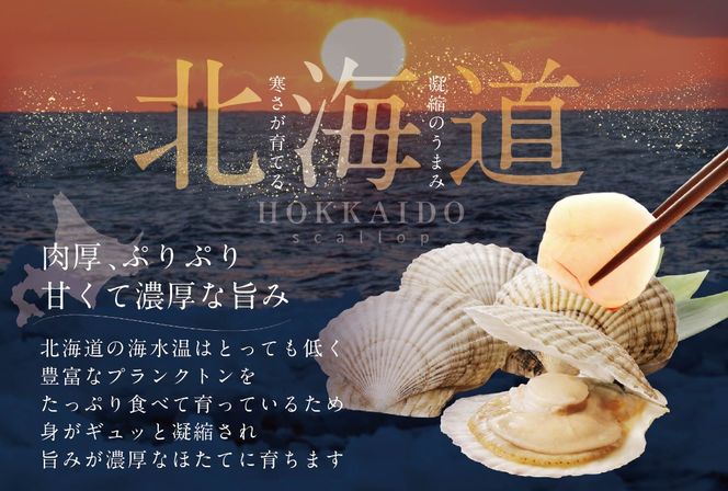 イチオシ！料理にいろいろ使える粒揃い！訳あり 北海道産冷凍ホタテ800g（36粒前後）【MT000TG01】