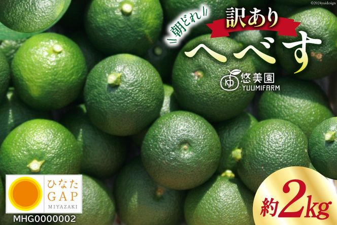 【期間限定発送】 へべす ひなたGAP認定 ふぞろい 2kg [へべすの悠美園 宮崎県 日向市 452060725] ヘベス 宮崎 果物 フルーツ くだもの 柑橘 ポン酢 調味料 果汁