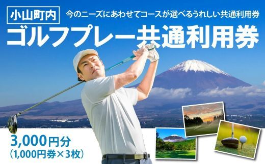 小山町内 ゴルフ場 共通利用券 (1000円券×3枚)