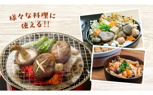 【 3ヶ月連続定期便 】きのこ の 詰め合わせ Sサイズ ( 約1kg ) （茨城県共通返礼品：城里町） キノコ セット 野菜 低カロリー ダイエット デトックス バラエティ セット 新鮮 [DY005us]