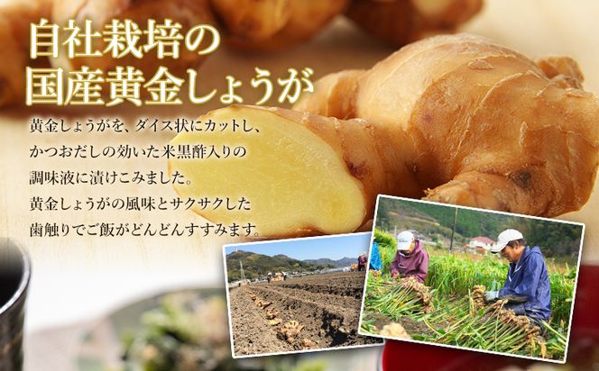 しょうが 味付け 極しょうが 110g×4袋 計440g 【7日程度で発送】 生姜 ジンジャー ご飯のお供 おかず トッピング アレンジ 料理 手軽 便利 刻み生姜 国産 特産品 しょうが ショウガ 高知県産 坂田信夫商店 高知県 香南市 常温 Xnb-0013