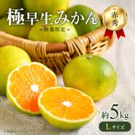 【2026年先行予約】 極早生みかん 5kg 赤秀 Lサイズ【ミカン 蜜柑 柑橘 温州みかん 有田みかん 贈答 ギフト わせみかん 和歌山】_BF6038n