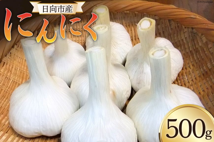 [期間限定発送] にんにく 国産 500g [甲斐自然派農園 宮崎県 日向市 452060132] ふるさと納税 ニンニク 栽培期間中 無農薬 農薬不使用 化学肥料不使用 日向市産