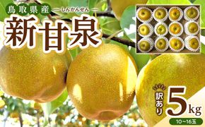 1257.【2026年度発送先行予約】訳あり　新甘泉　5kg 313726_CS003