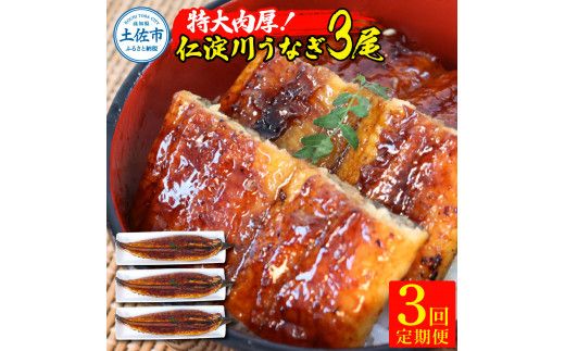 【3回定期便】仁淀川特大肉厚うなぎ3尾セット 定期コース 3ヶ月 タレ付き 